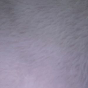 Meet your Posher, Jesus